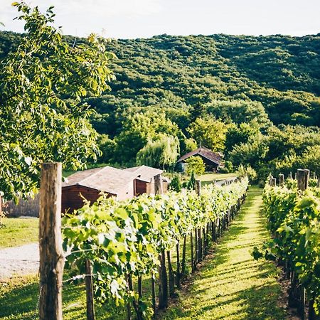 Zalacsány Dutch Hill Bed & Breakfast エクステリア 写真