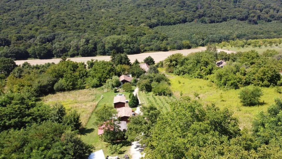 Zalacsány Dutch Hill Bed & Breakfast エクステリア 写真