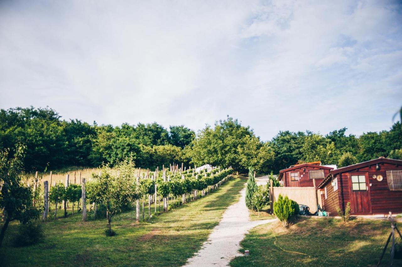 Zalacsány Dutch Hill Bed & Breakfast エクステリア 写真